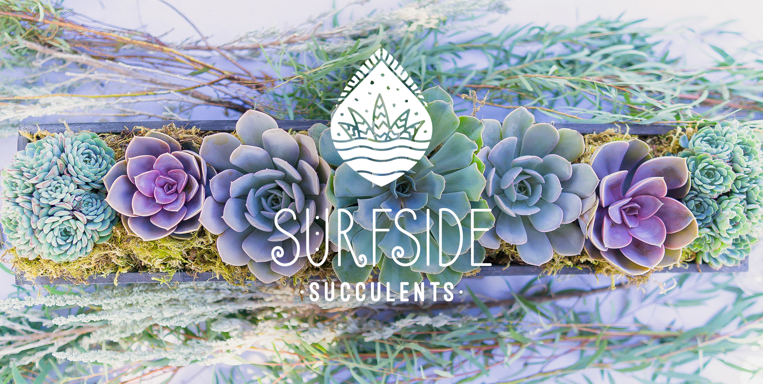 surfside-succulents